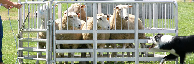 Kilnsey and Conistone Scenery